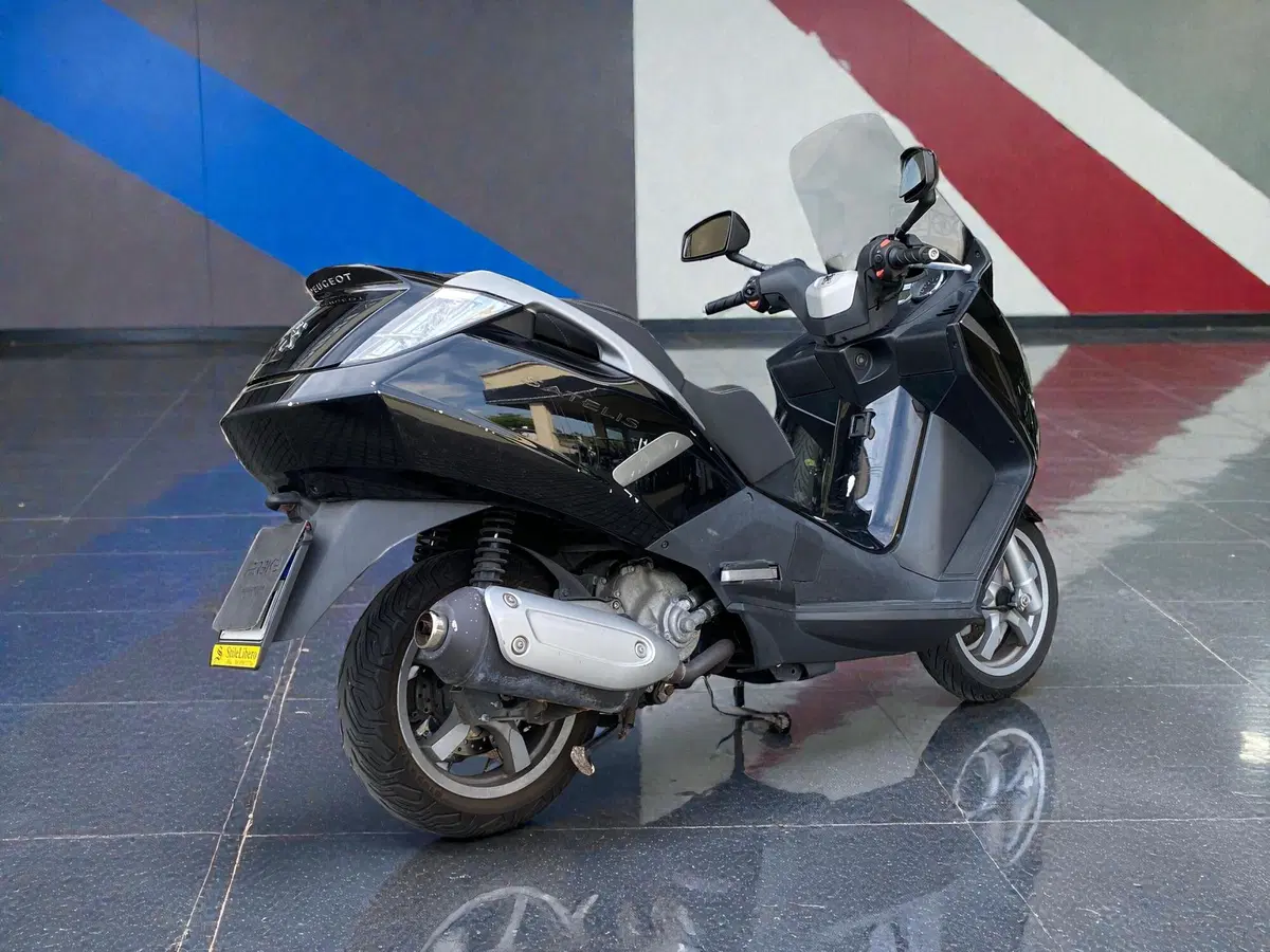 Peugeot Satelis 300 (2013 - 16) (5)
