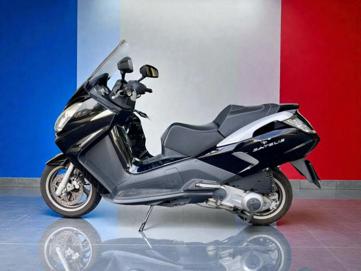 Peugeot Satelis 300 (2013 - 16) (6)
