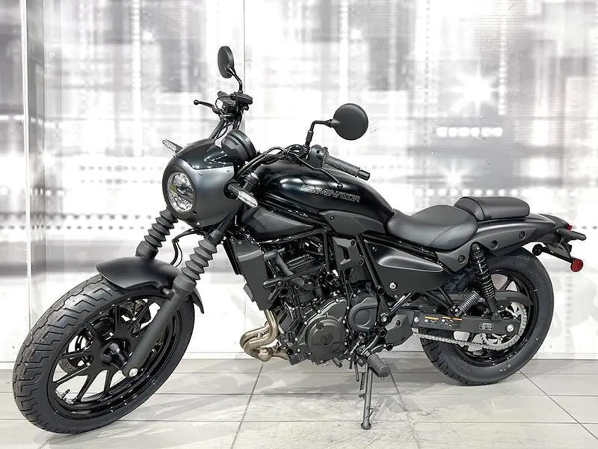 Kawasaki Eliminator 500 SE (2024 - 26) (7)