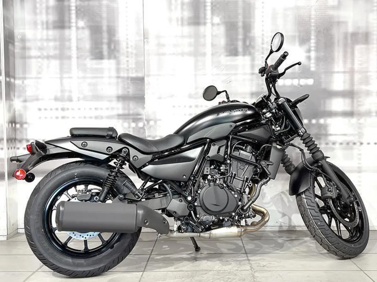 Kawasaki Eliminator 500 SE (2024 - 26) (8)