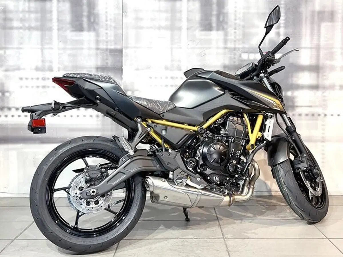 Kawasaki Z 650 S (2026) (7)
