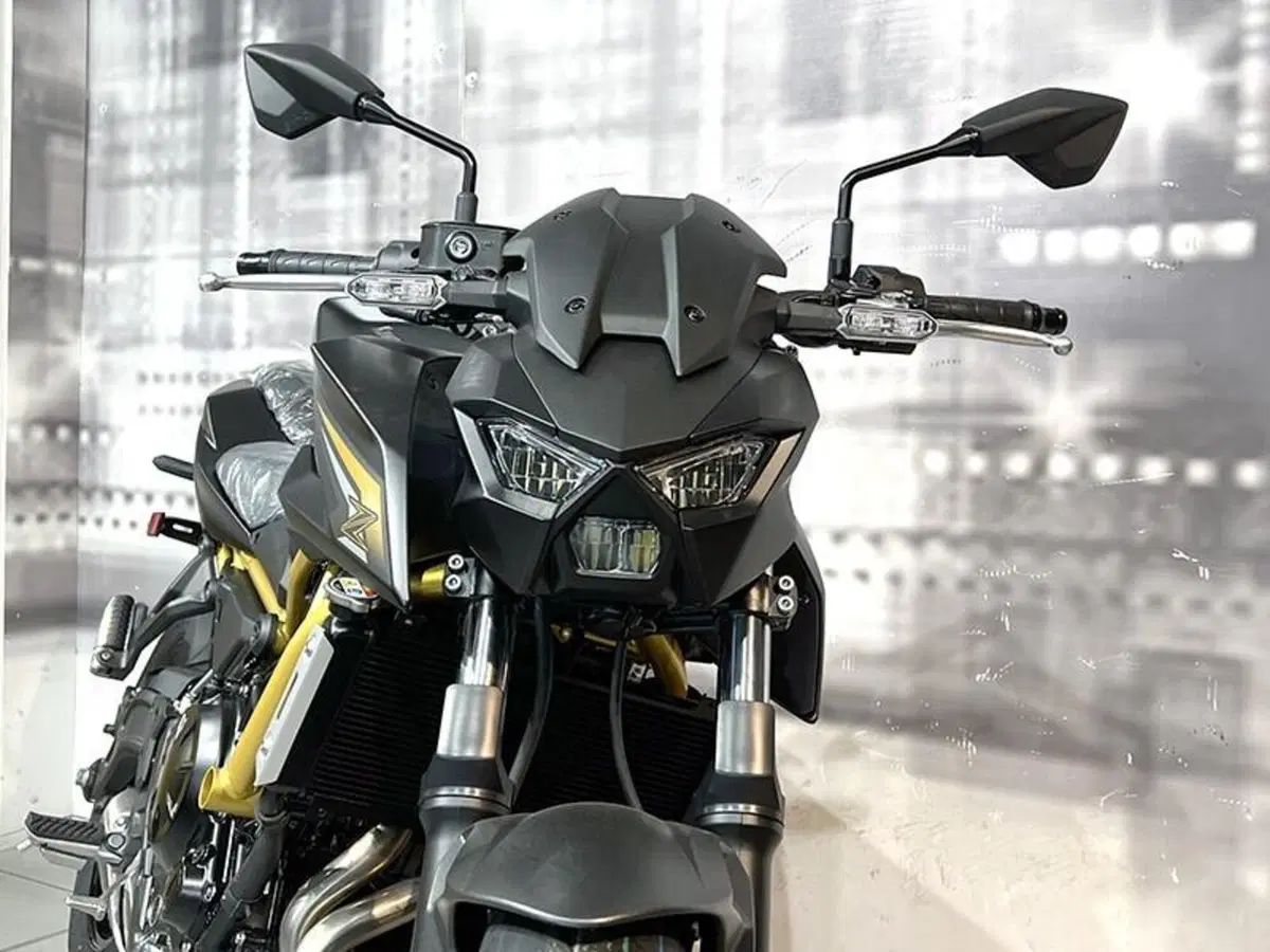 Kawasaki Z 650 S (2026) (8)
