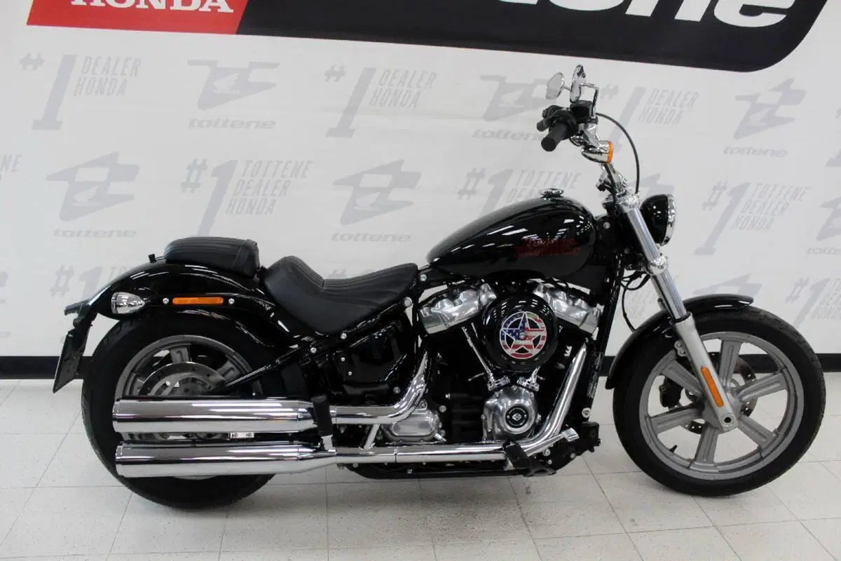 Harley-Davidson Softail Standard (2021 - 25) (2)
