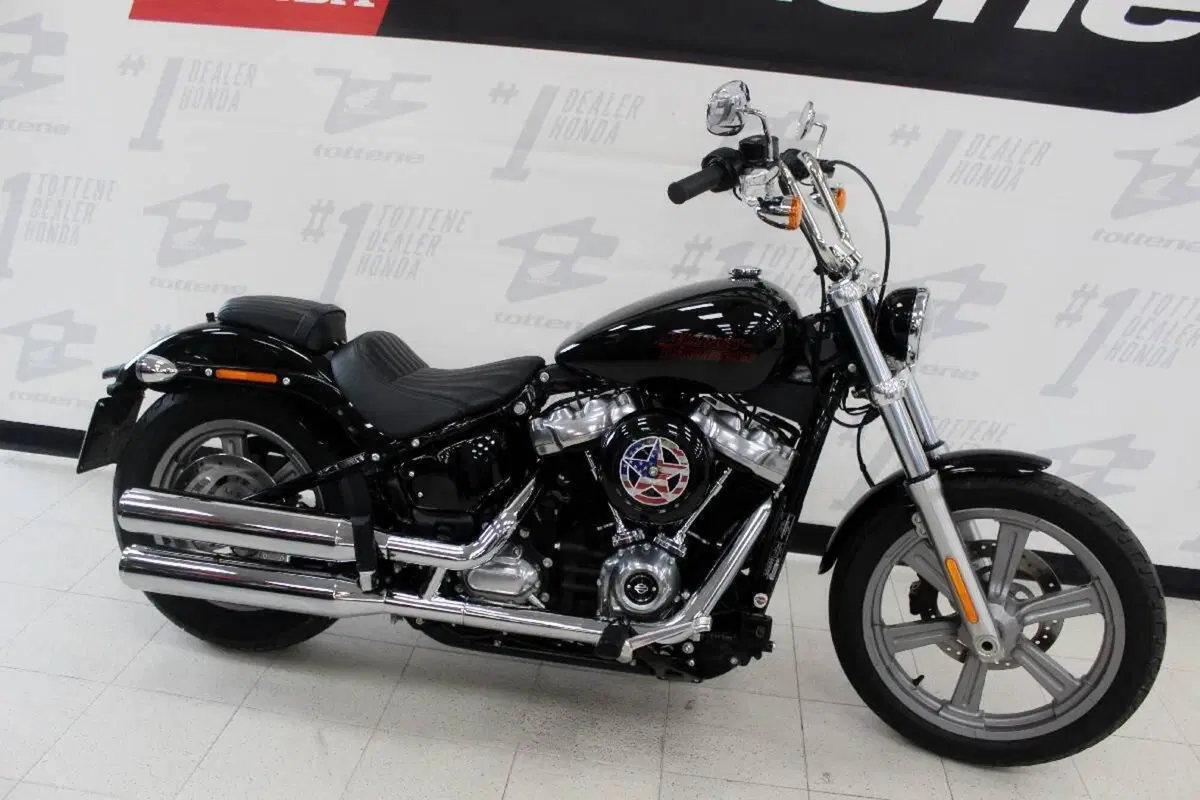 Harley-Davidson Softail Standard (2021 - 25) (3)