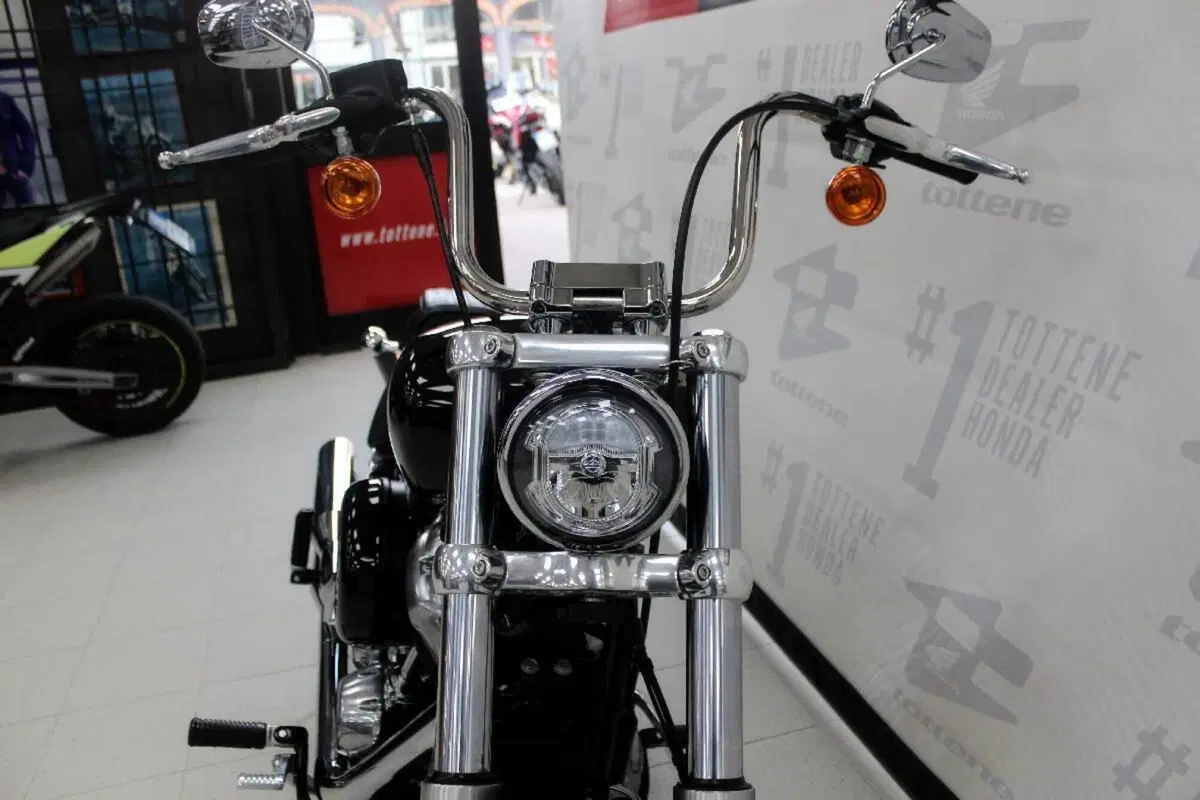 Harley-Davidson Softail Standard (2021 - 25) (4)
