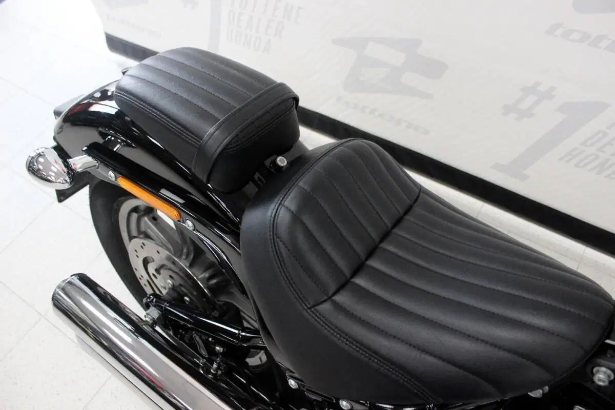 Harley-Davidson Softail Standard (2021 - 25) (5)