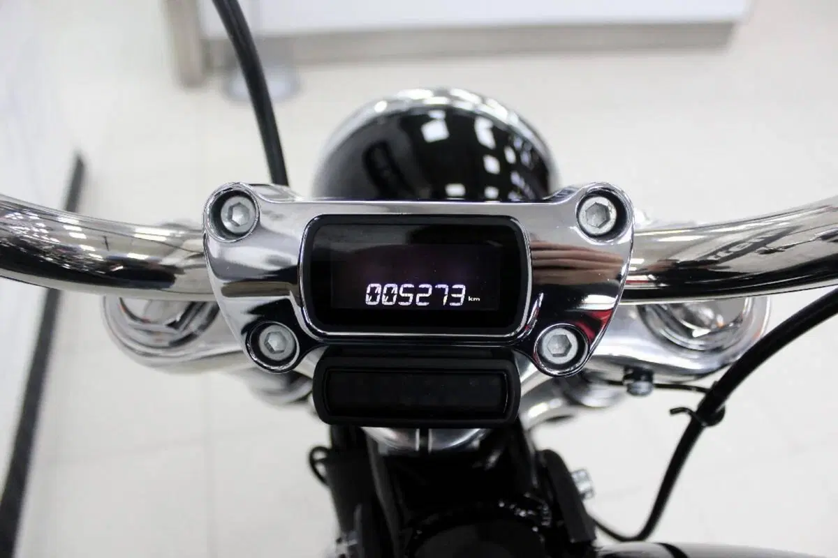 Harley-Davidson Softail Standard (2021 - 25) (6)