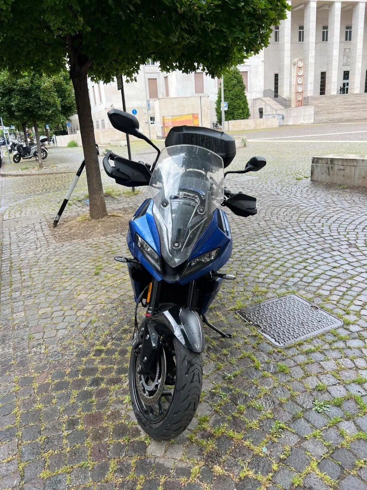 Triumph Tiger Sport 660 (2022 - 24)