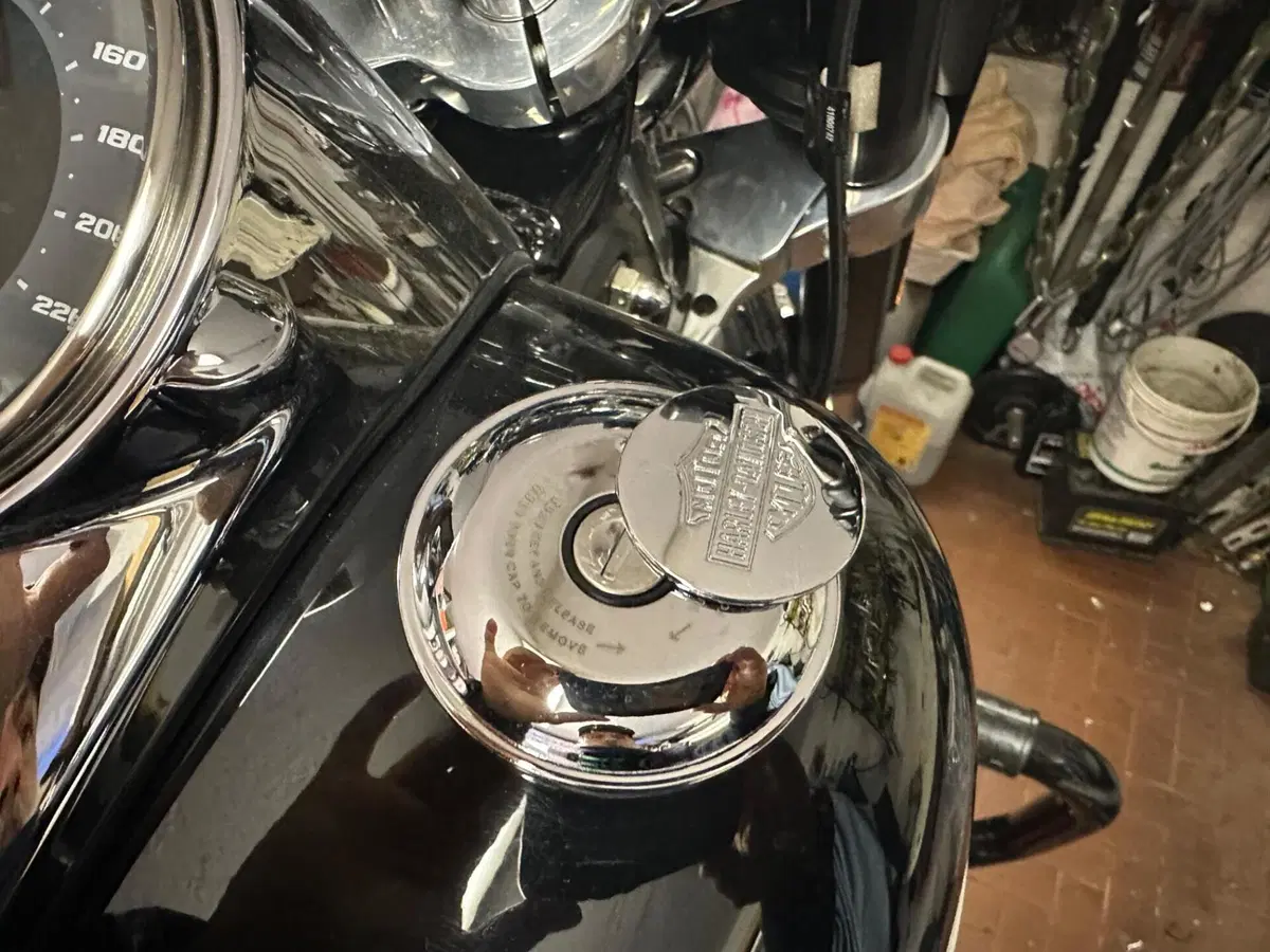 Harley-Davidson 107 Sport Glide (2018 - 20) (9)