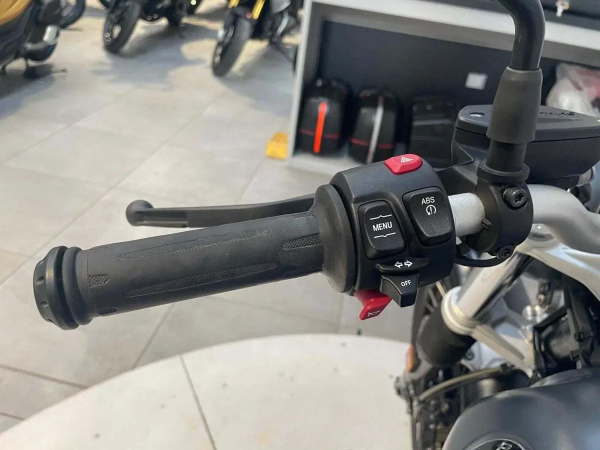 Bmw R nineT 1200 Scrambler (2016 - 20) (15)