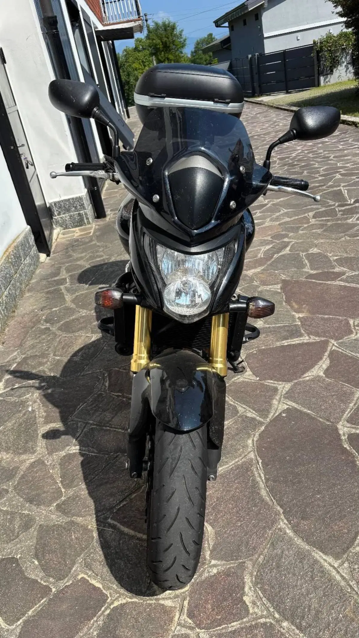 Honda Hornet 600 (2007 - 10) (2)