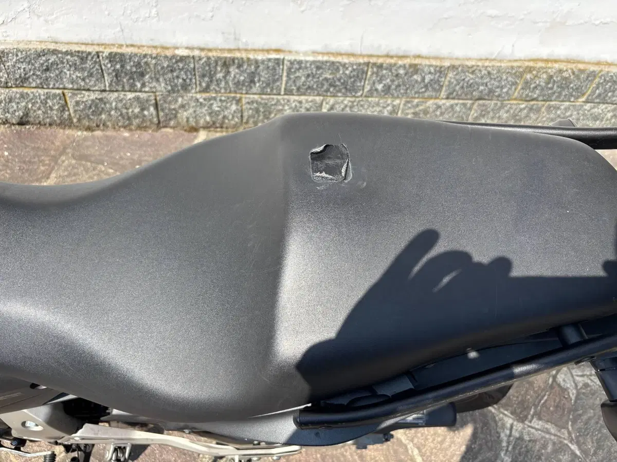 Honda Hornet 600 (2007 - 10) (7)