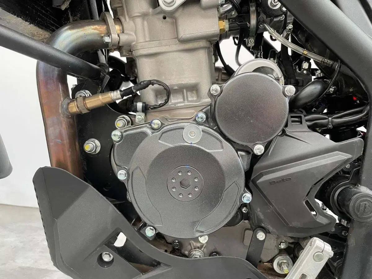 Betamotor Alp 4.0 (2024 - 26) (5)
