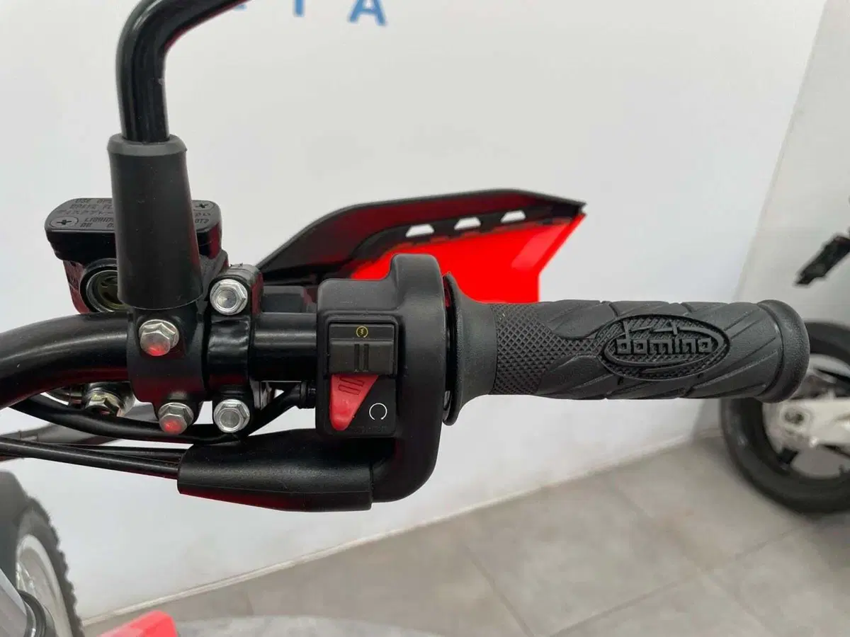 Betamotor Alp 4.0 (2024 - 26) (9)
