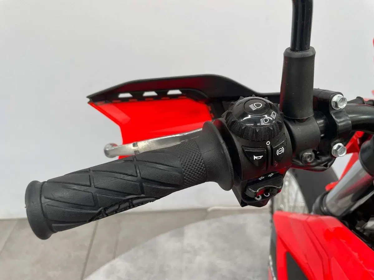 Betamotor Alp 4.0 (2024 - 26) (10)