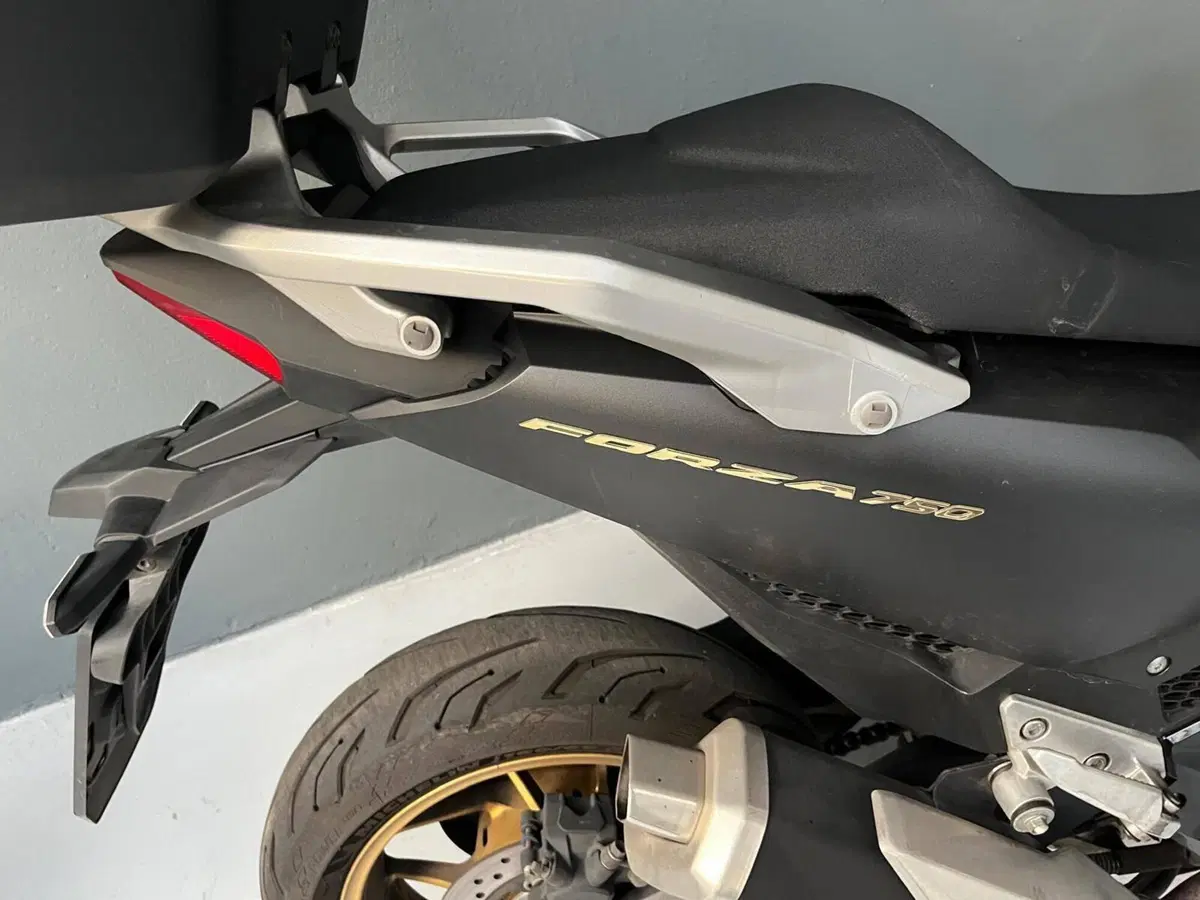 Honda Forza 750 DCT (2021 - 24) (12)