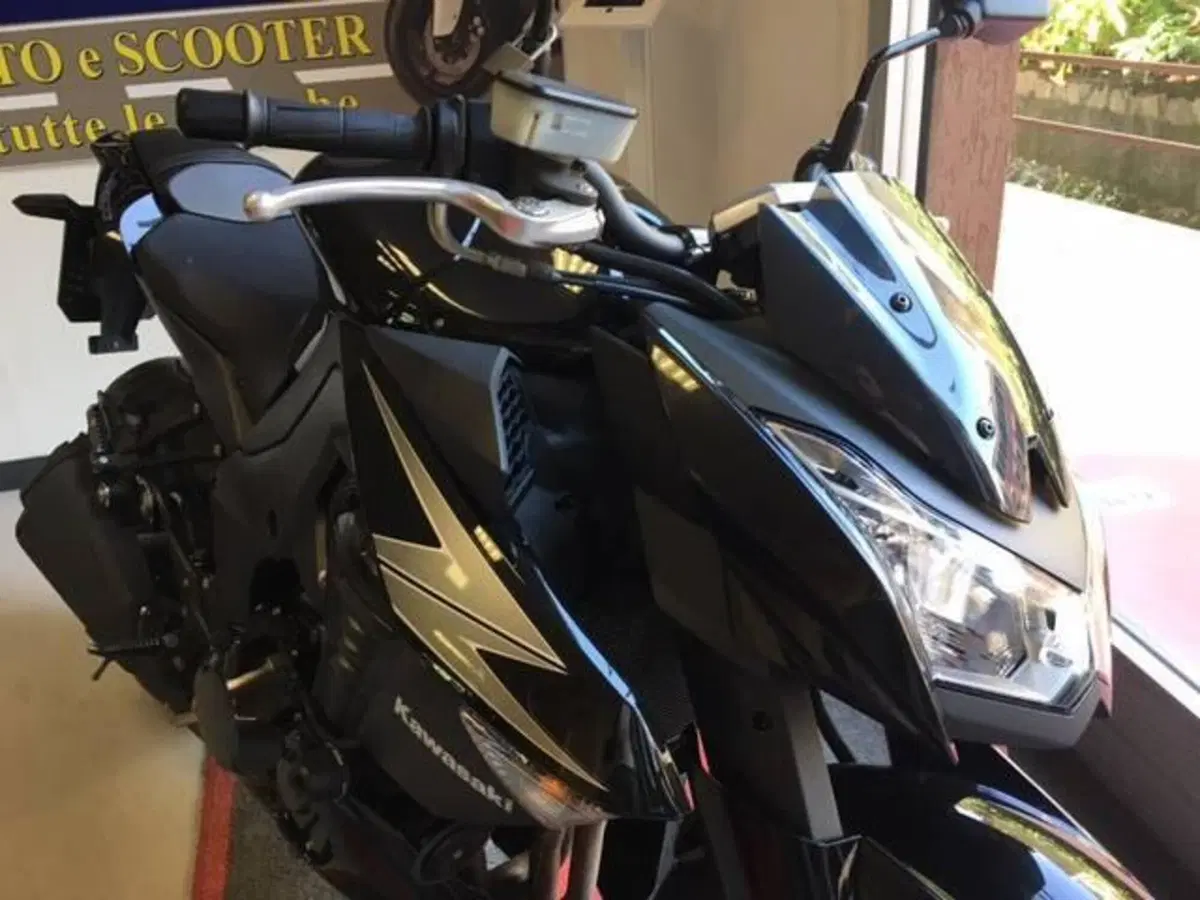 Kawasaki Z 1000 ABS (2010 - 13) (2)