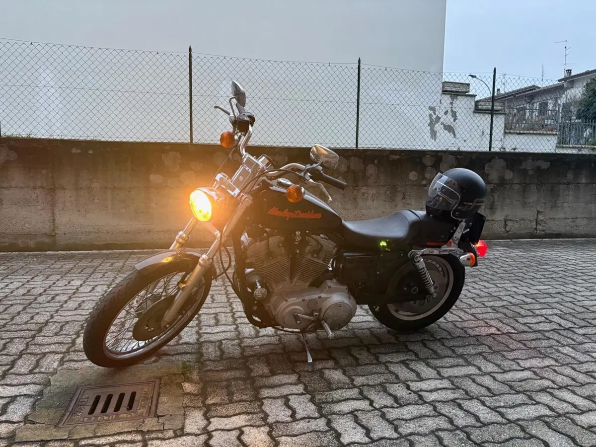 Harley-Davidson 883 Custom (1998 - 00) - XL 53C (2)