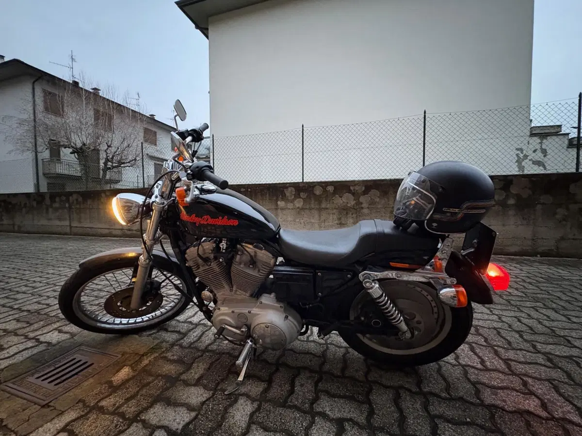 Harley-Davidson 883 Custom (1998 - 00) - XL 53C (3)