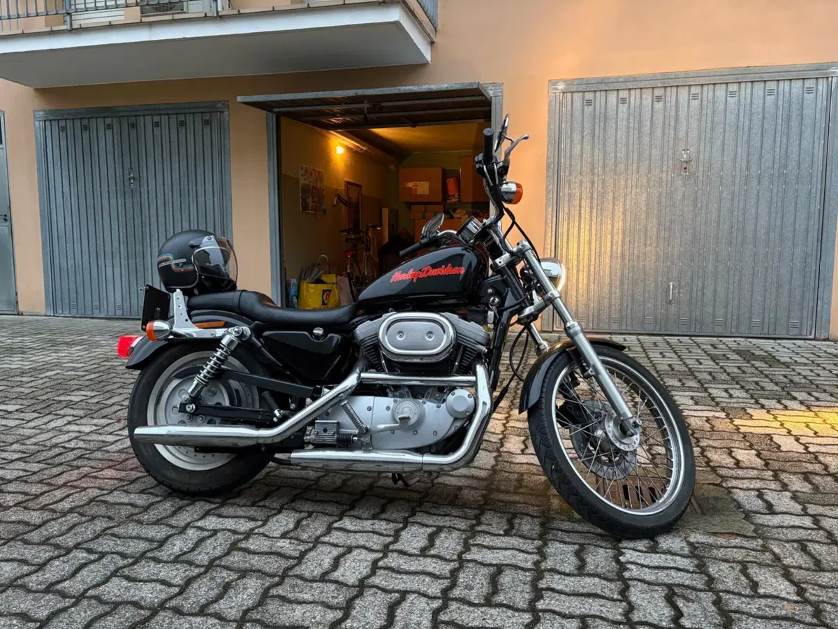 Harley-Davidson 883 Custom (1998 - 00) - XL 53C (5)
