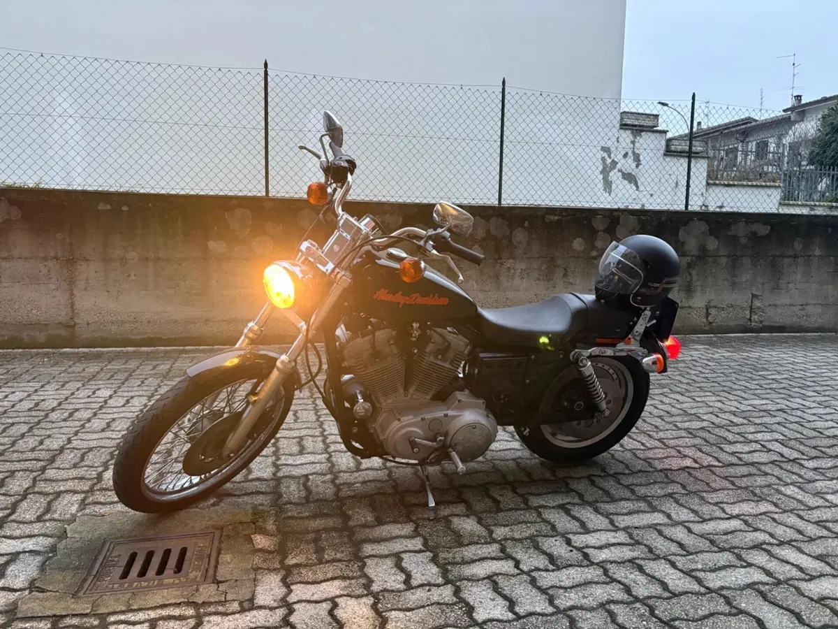 Harley-Davidson 883 Custom (1998 - 00) - XL 53C (6)
