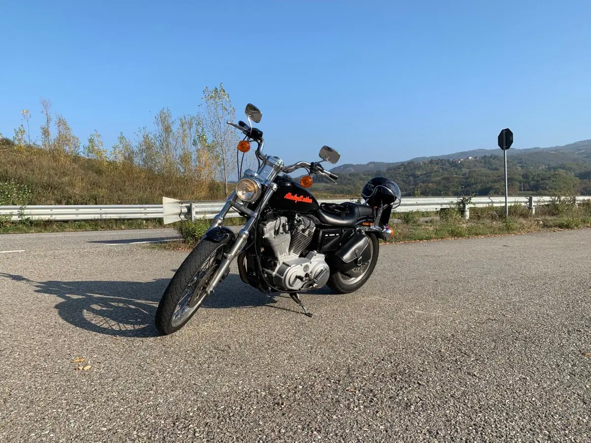 Harley-Davidson 883 Custom (1998 - 00) - XL 53C (9)