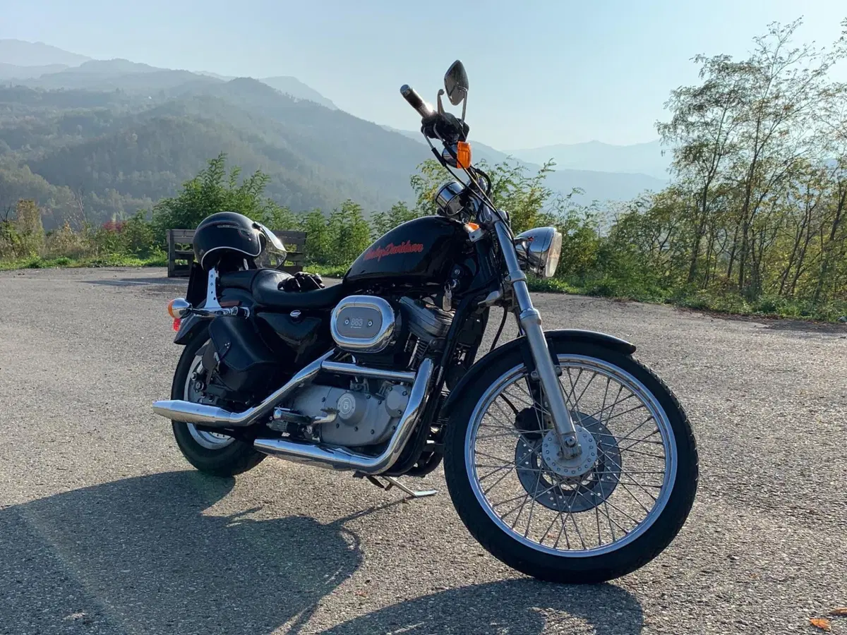 Harley-Davidson 883 Custom (1998 - 00) - XL 53C (10)