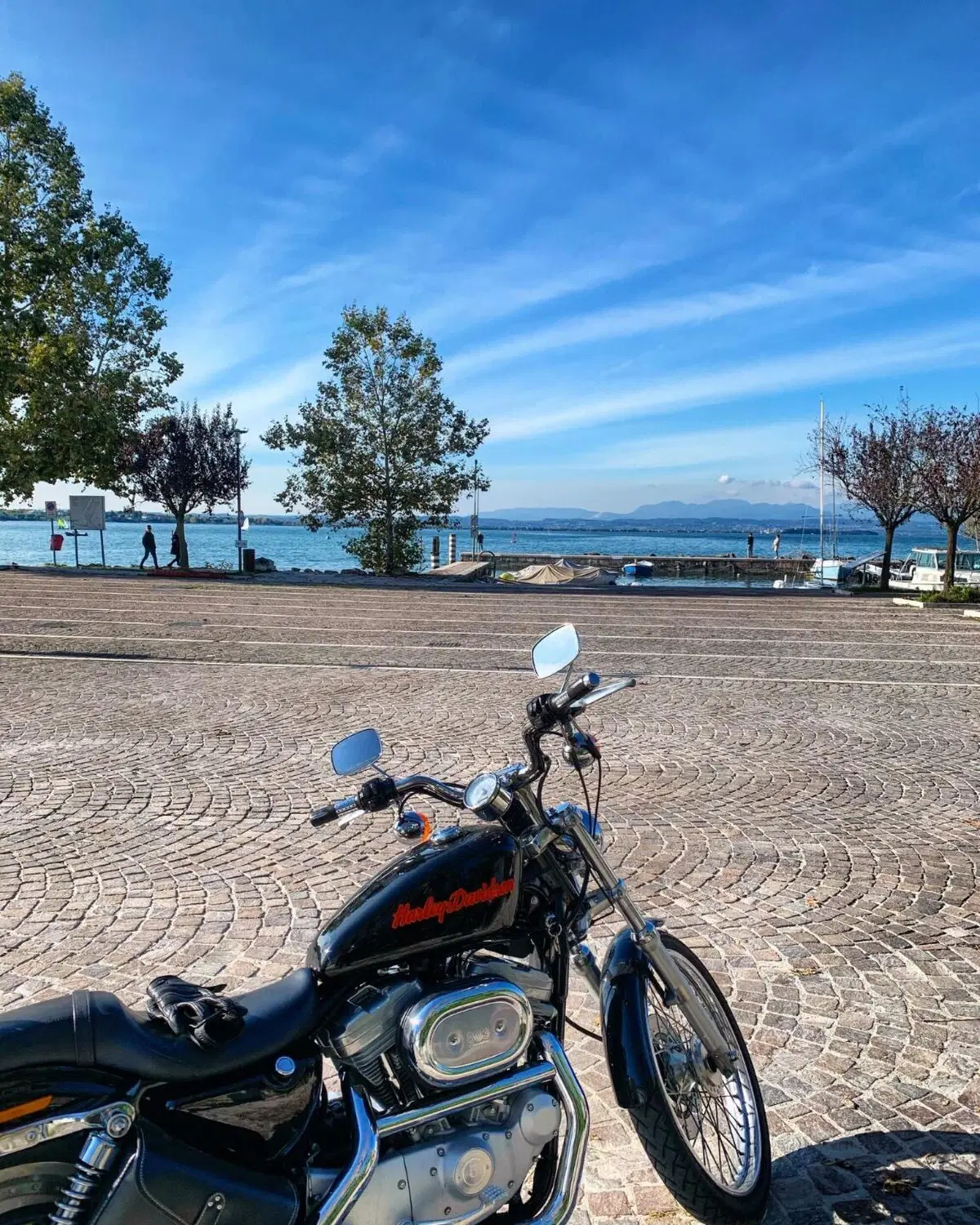 Harley-Davidson 883 Custom (1998 - 00) - XL 53C (11)