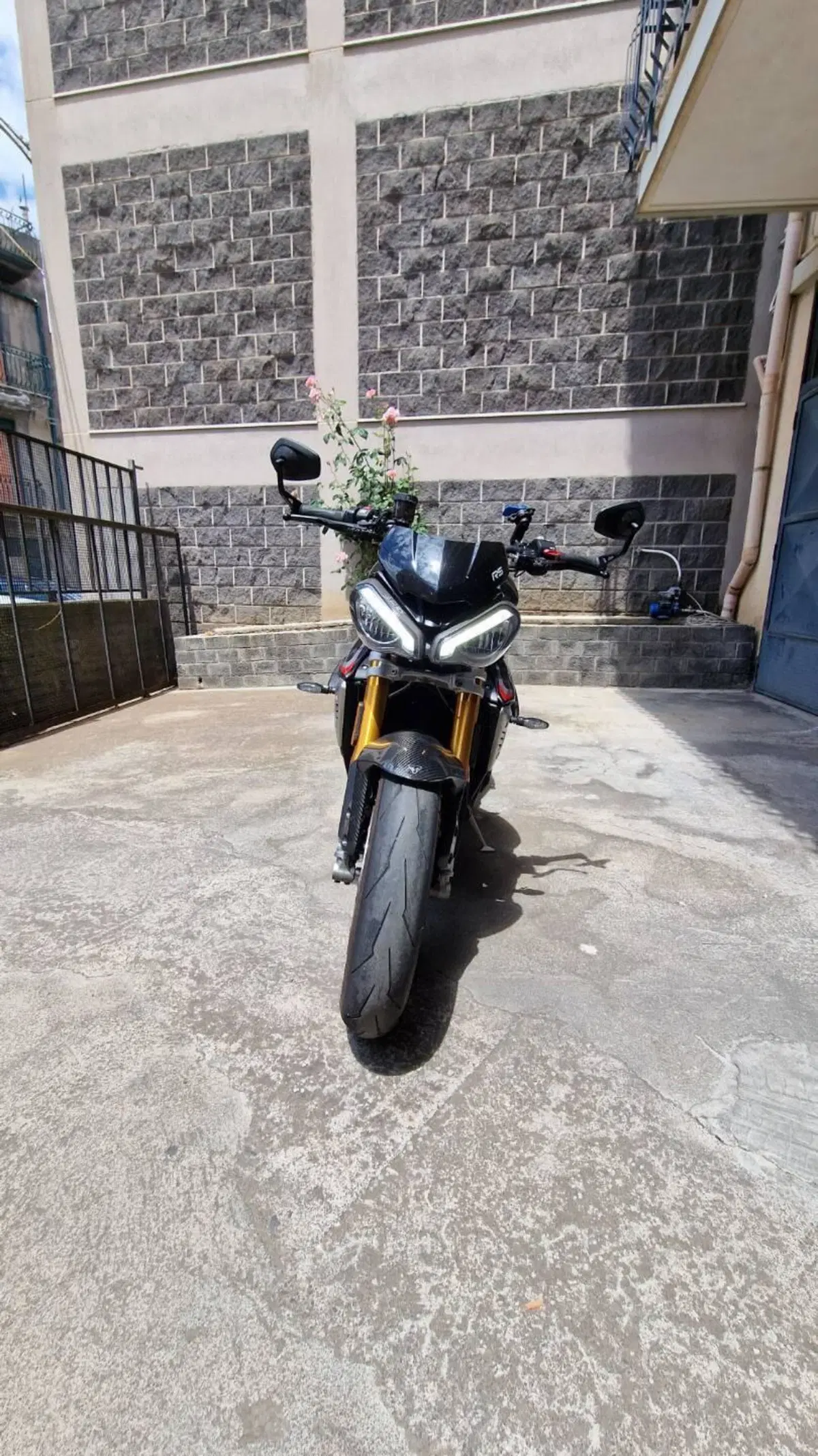 Triumph Speed Triple 1200 RS (2021 - 24) (8)
