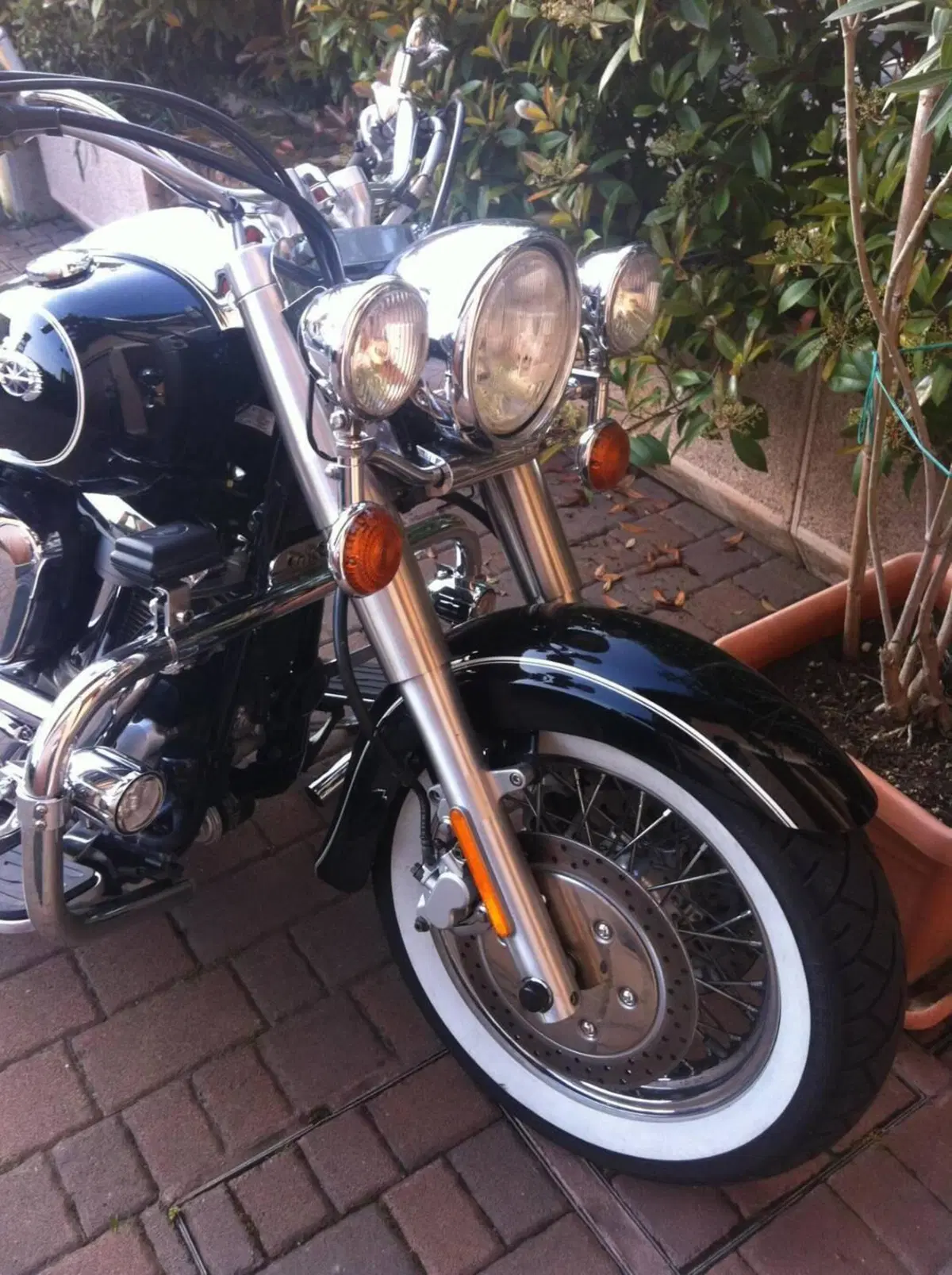 Yamaha XVS 1600 Wild Star (5)