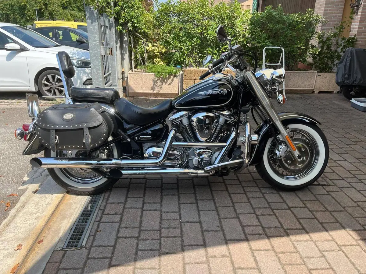 Yamaha XVS 1600 Wild Star (6)