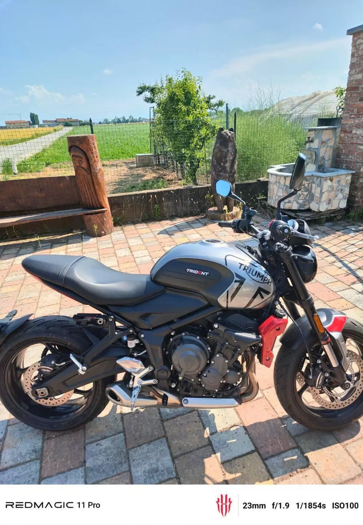 Triumph Trident 660 (2021 - 24)