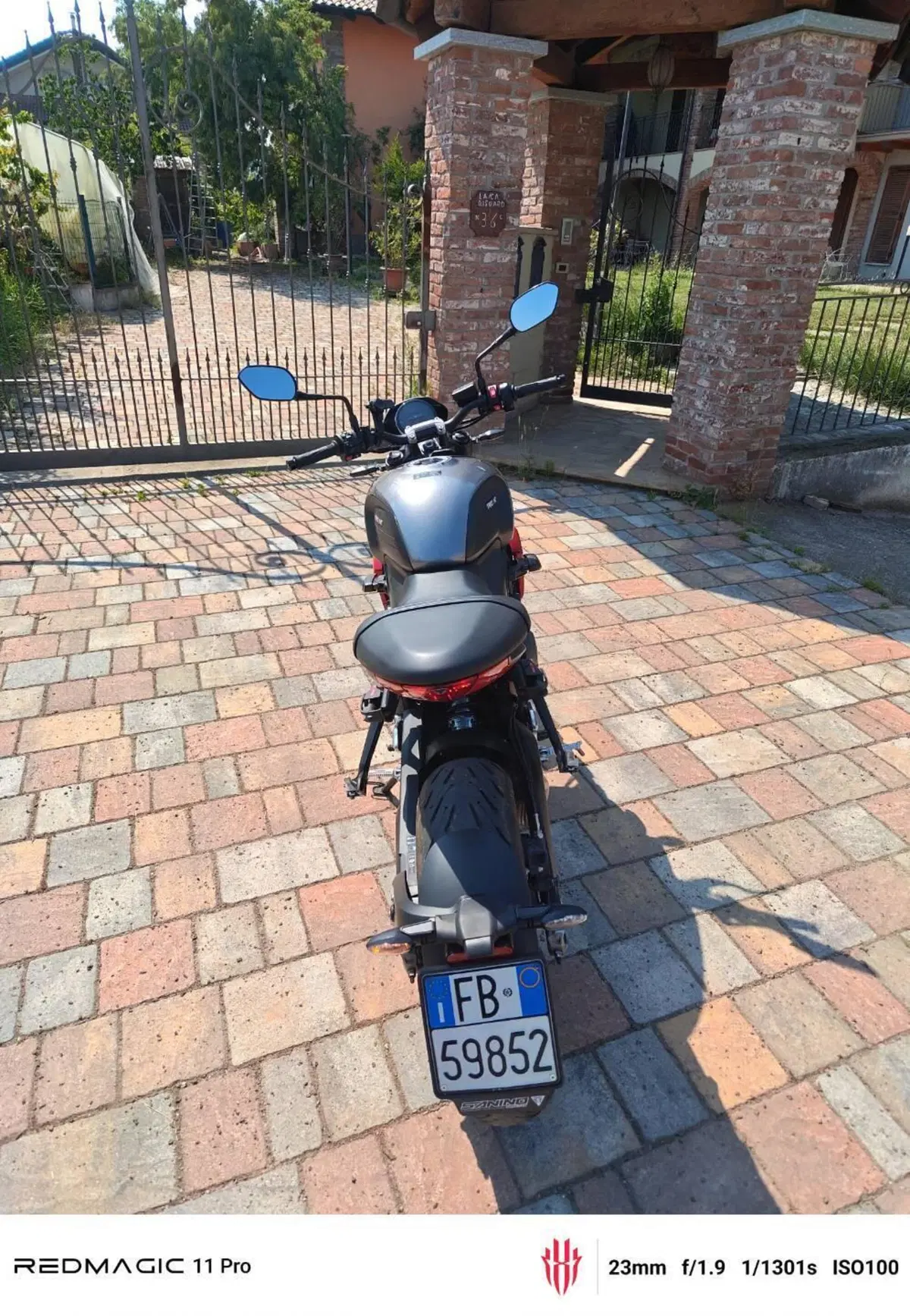 Triumph Trident 660 (2021 - 24) (2)
