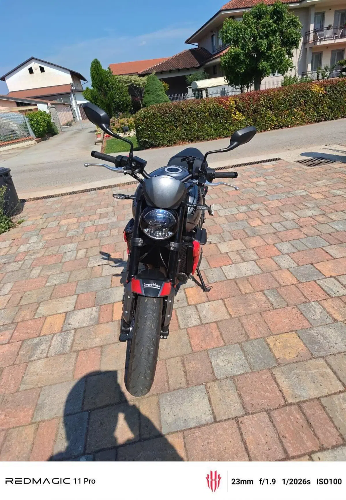 Triumph Trident 660 (2021 - 24) (4)