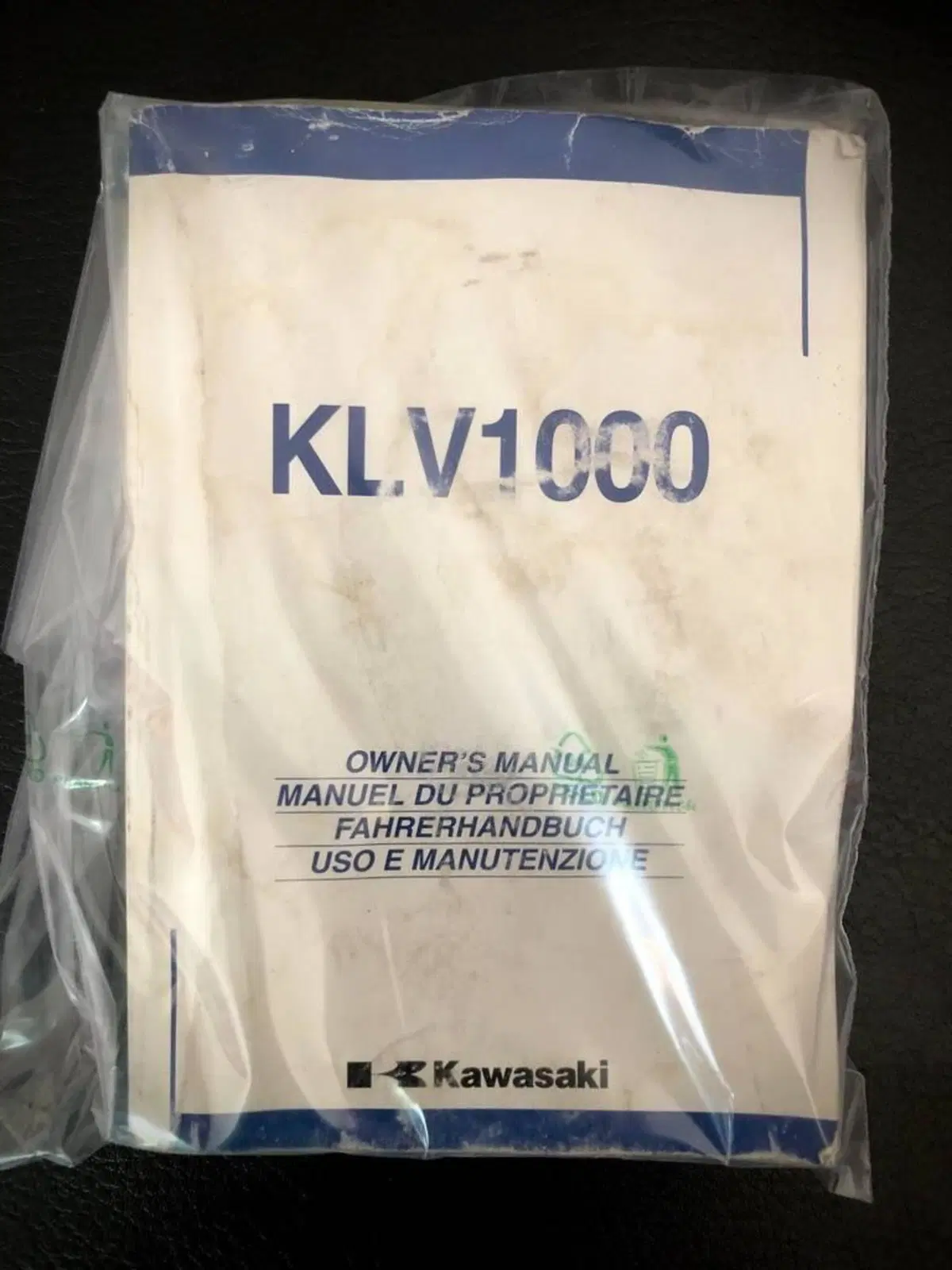 Kawasaki KLV 1000 (4)