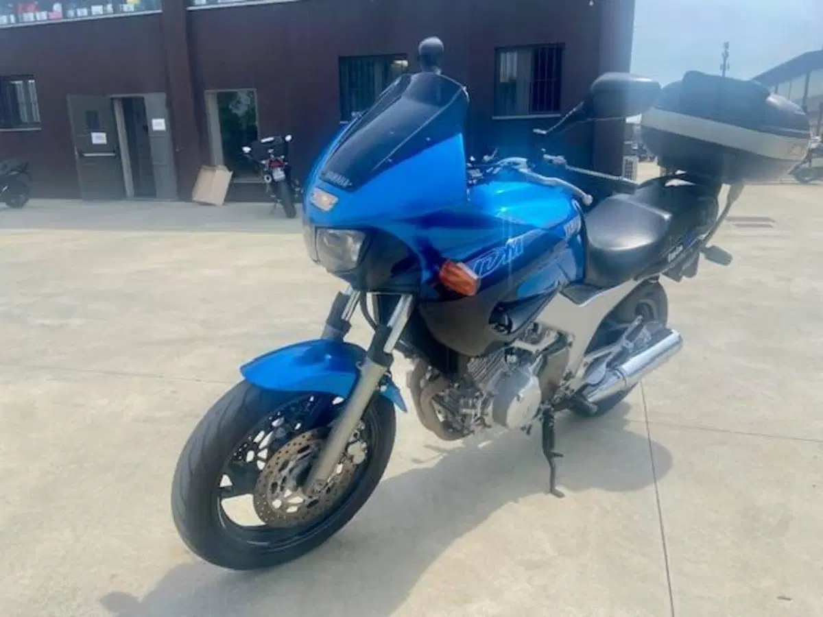 Yamaha TDM 850 (1996 - 01) (2)