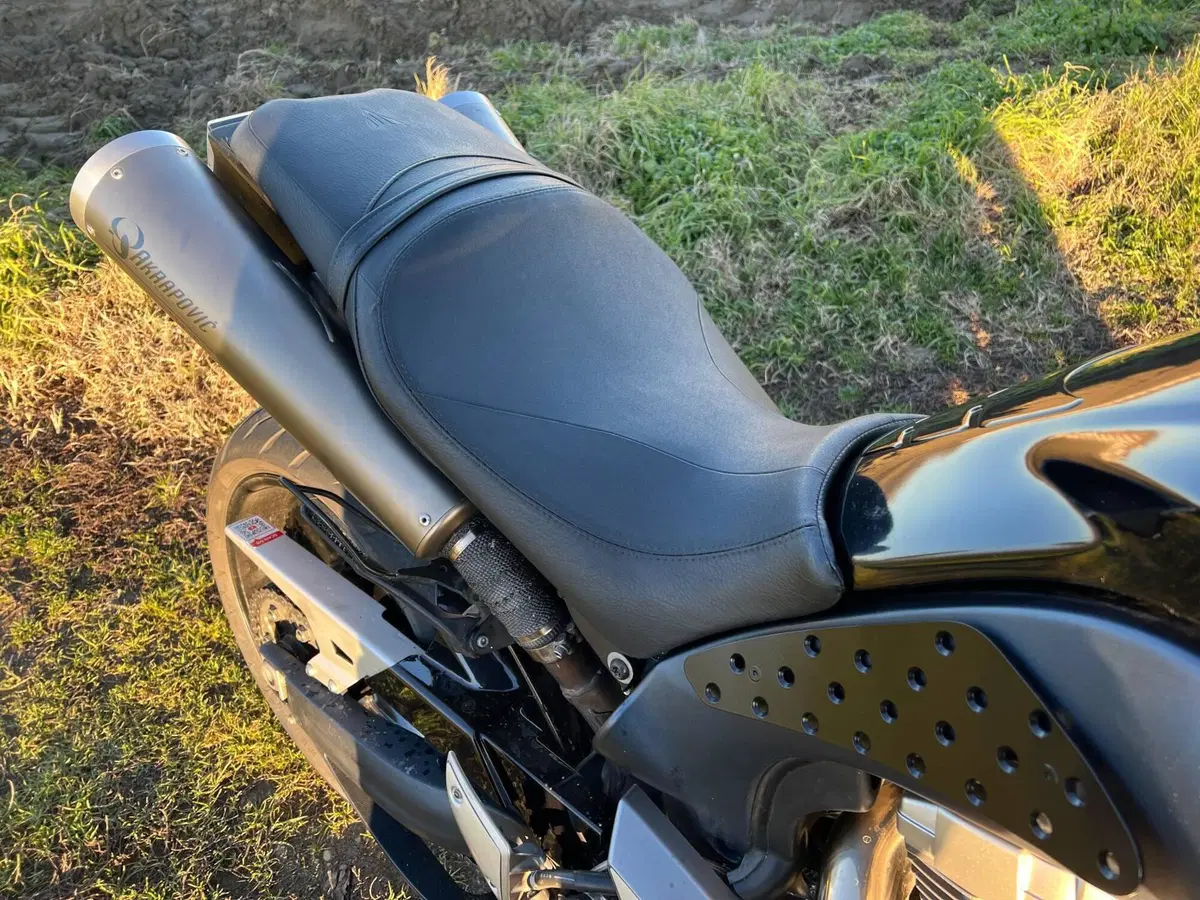 Yamaha MT-01 (2005- 11) (11)