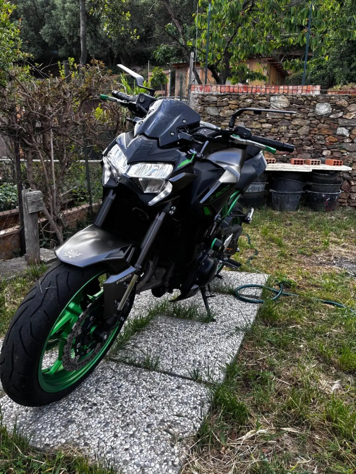 Kawasaki Z 900 A2 (2021 - 24) (2)
