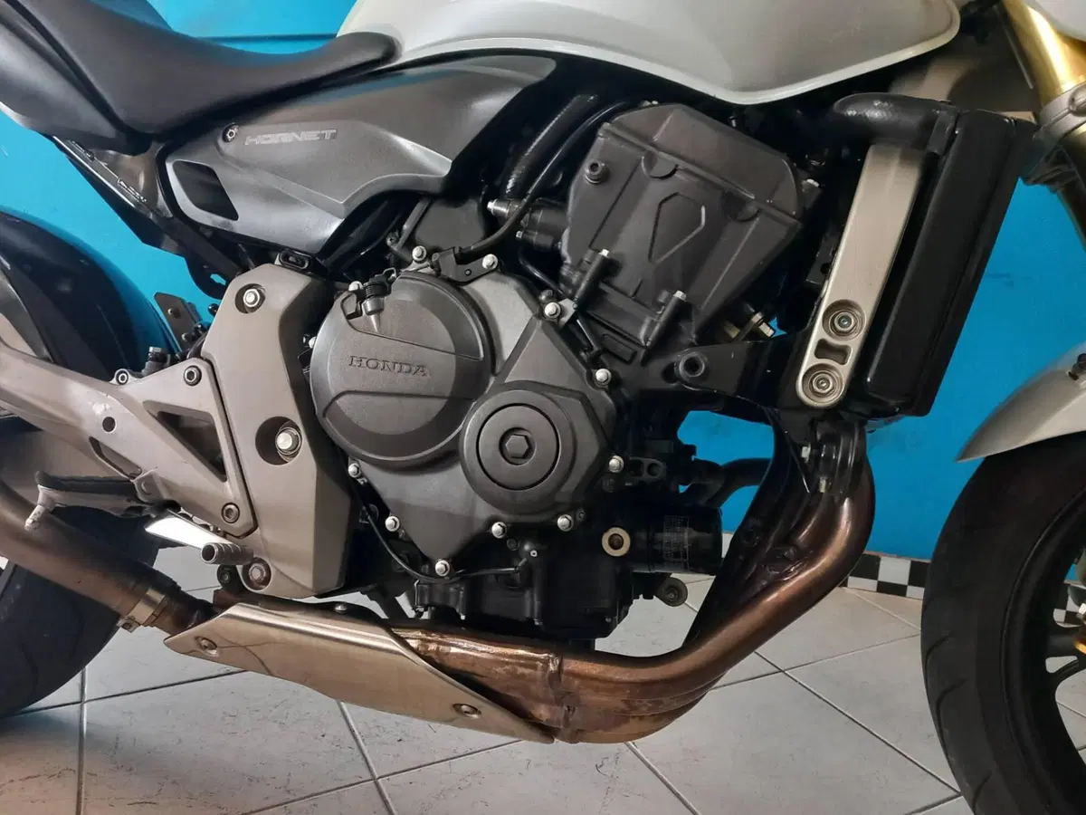 Honda Hornet 600 (2007 - 10) (16)