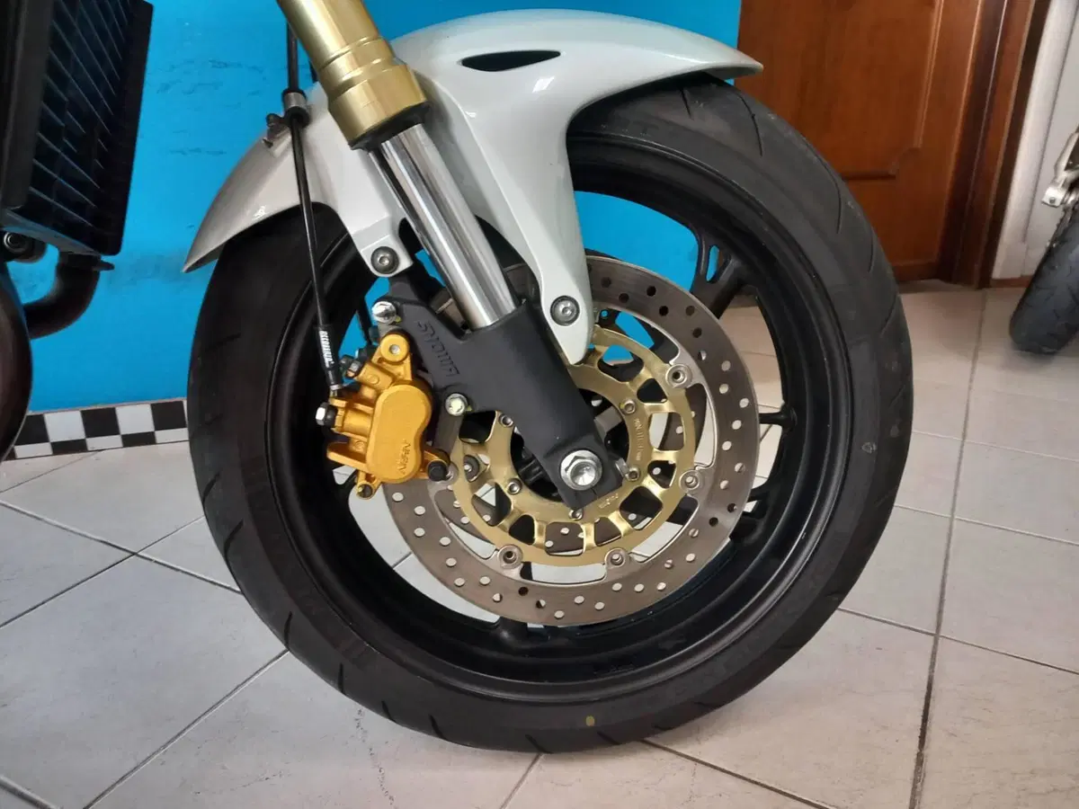 Honda Hornet 600 (2007 - 10) (19)