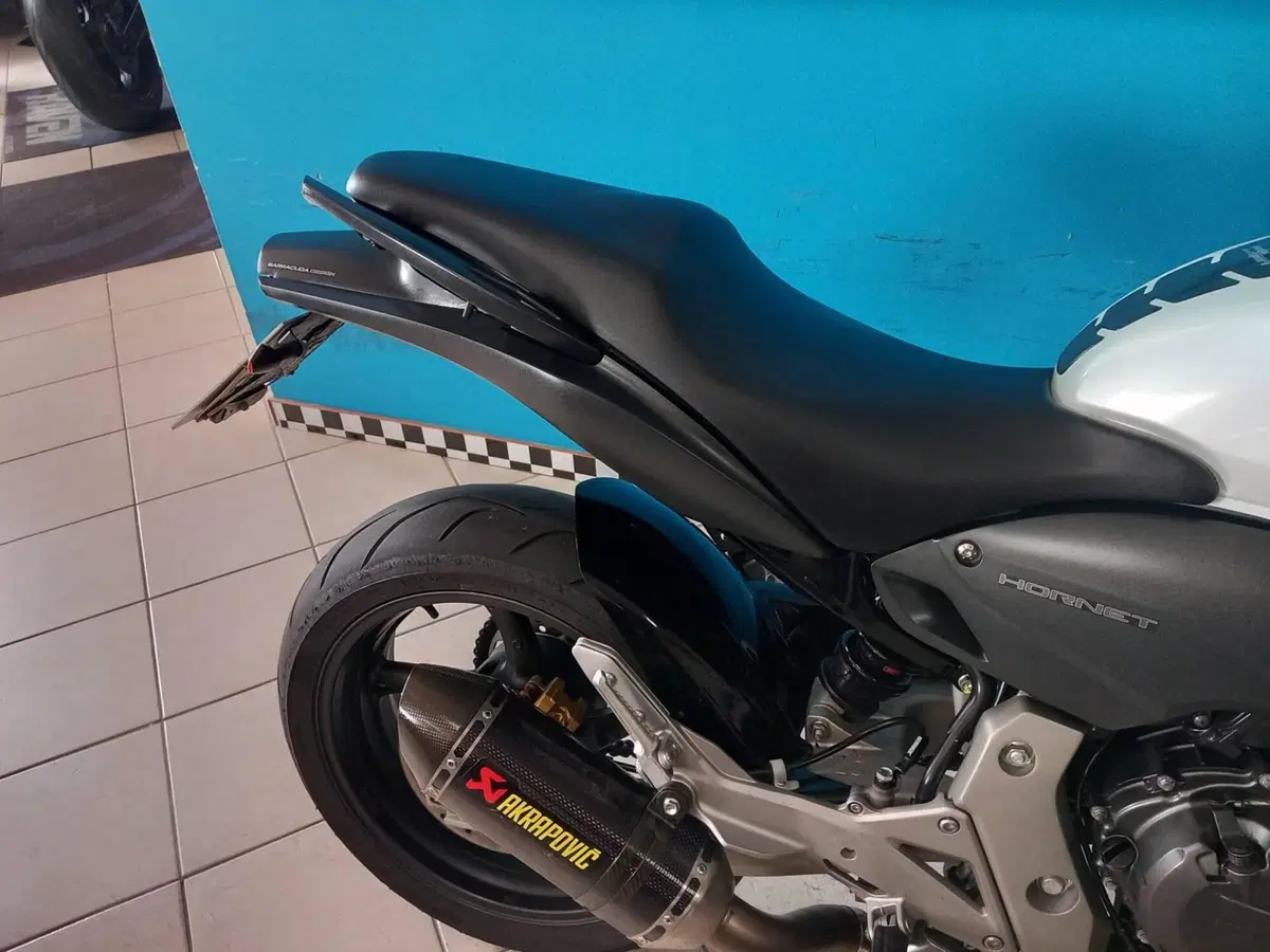 Honda Hornet 600 (2007 - 10) (15)