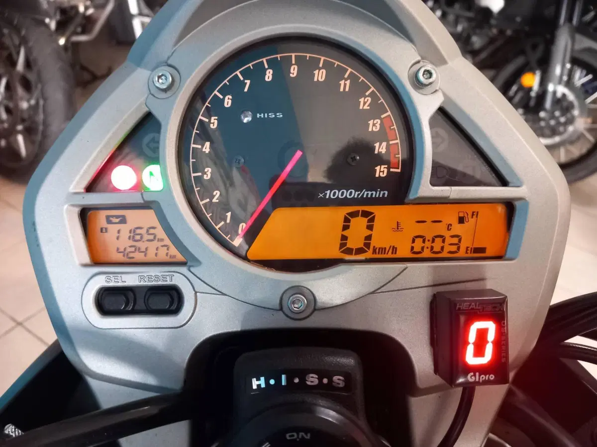 Honda Hornet 600 (2007 - 10) (20)