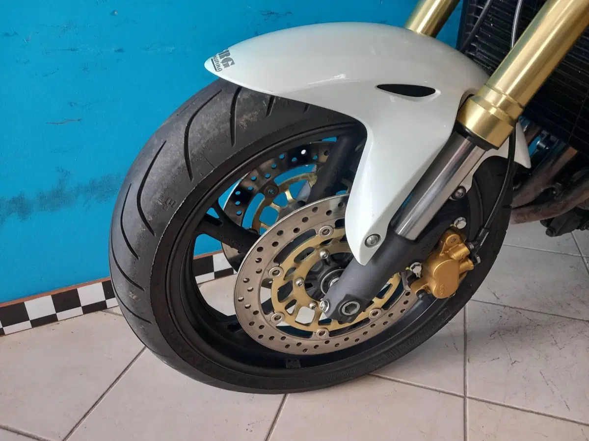 Honda Hornet 600 (2007 - 10) (7)