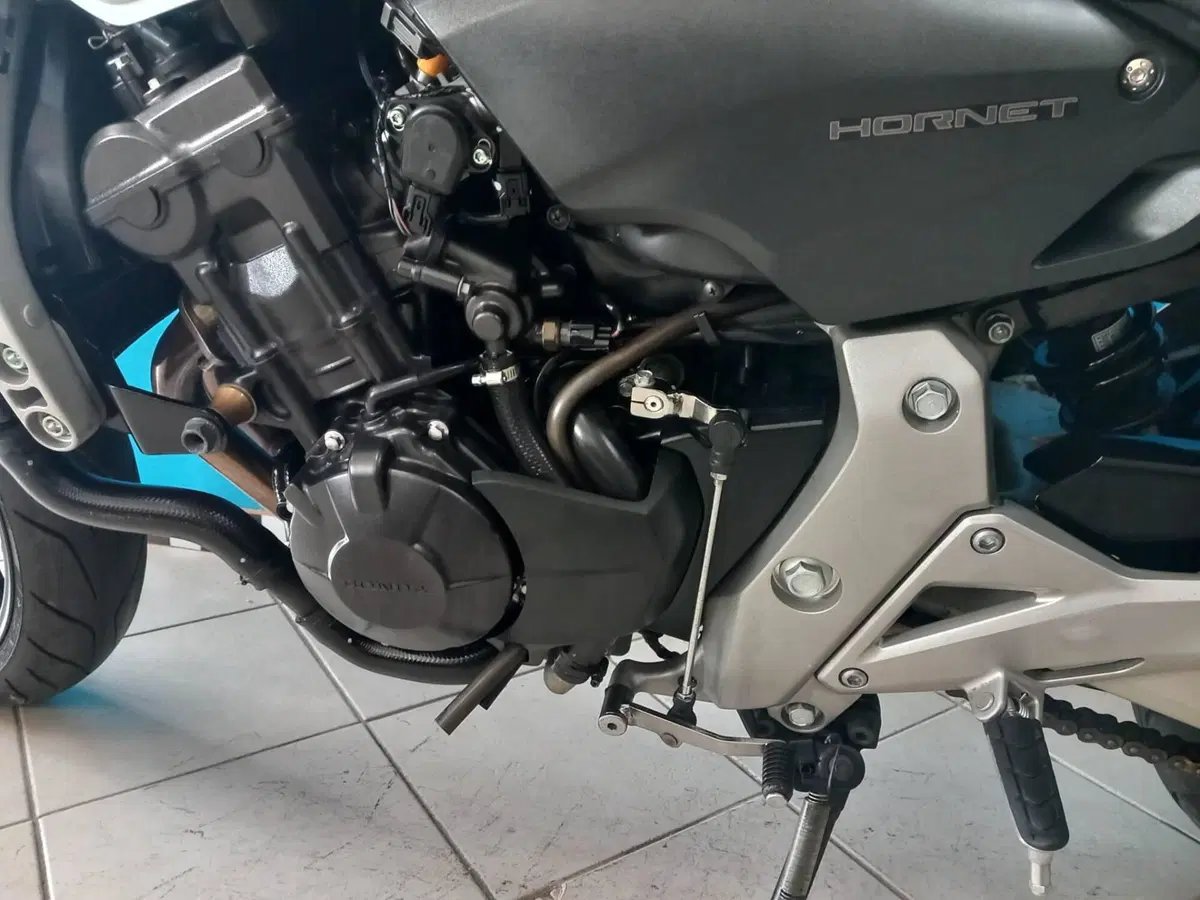 Honda Hornet 600 (2007 - 10) (11)