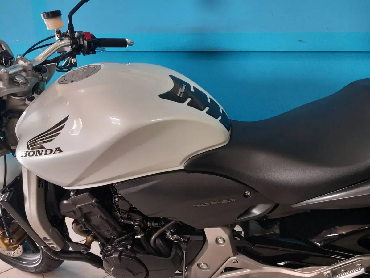 Honda Hornet 600 (2007 - 10) (10)