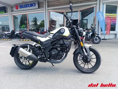 Benelli Leoncino 250 (2021 - 25) usata
