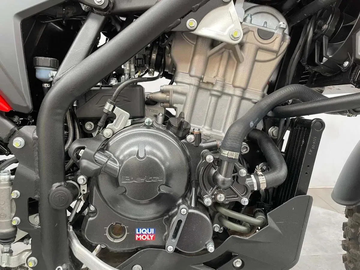 Betamotor Alp 4.0 (2024 - 26) (11)