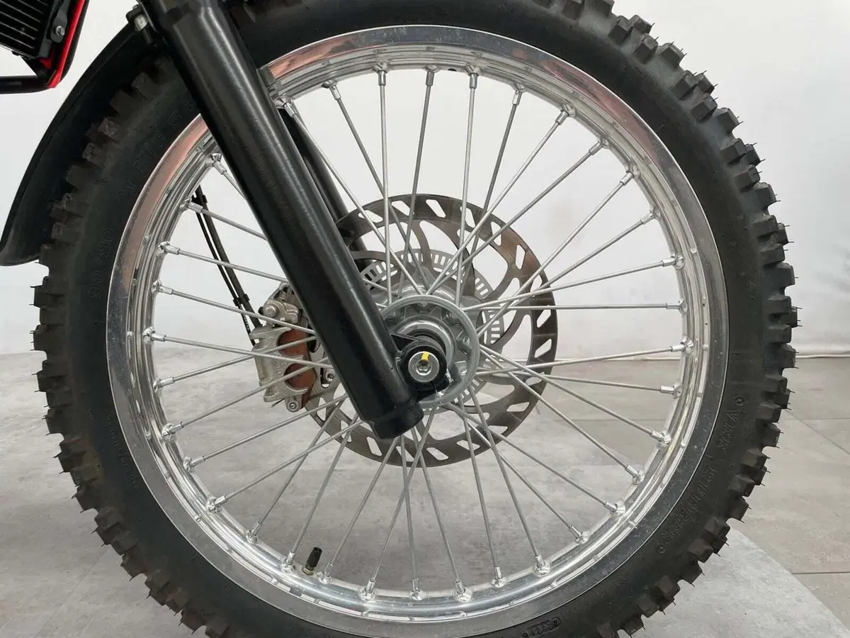 Betamotor Alp 4.0 (2024 - 26) (12)