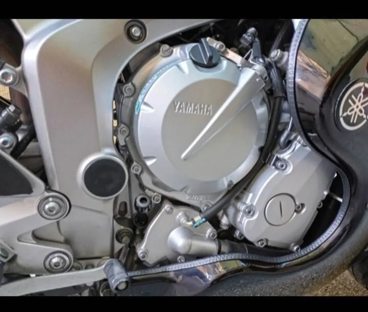 Yamaha FZ6 Fazer (2004 - 07) (2)
