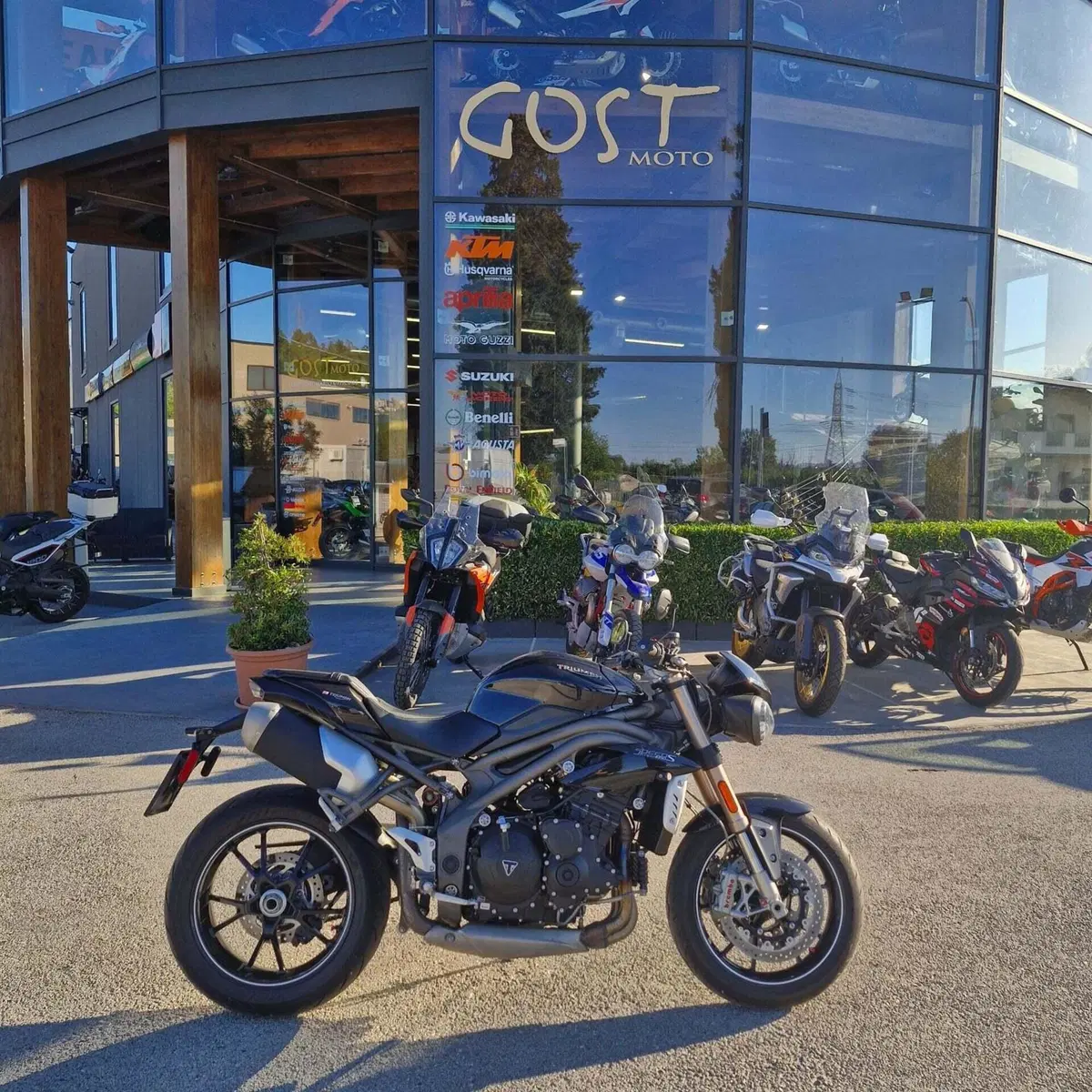Triumph Speed Triple 1050 S ABS (2016 - 17) (2)